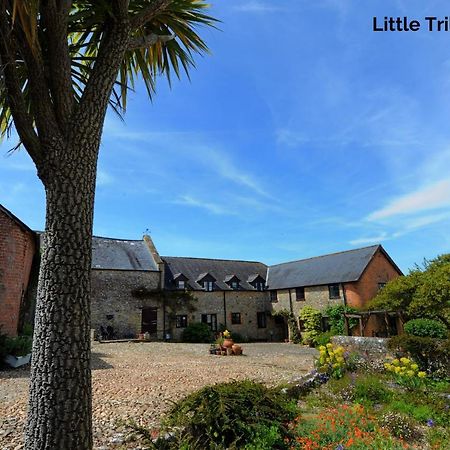 Trill Cottage Musbury エクステリア 写真