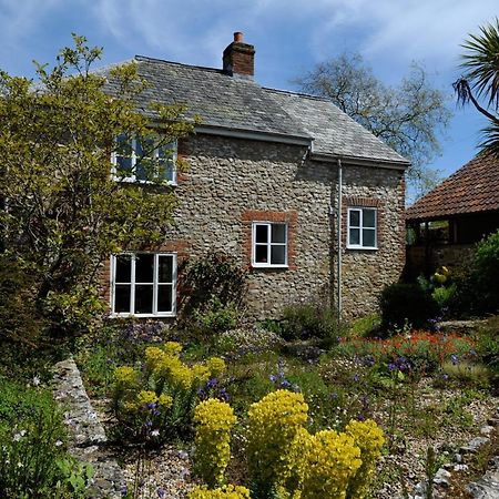 Trill Cottage Musbury エクステリア 写真