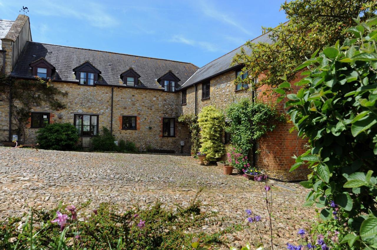 Trill Cottage Musbury エクステリア 写真