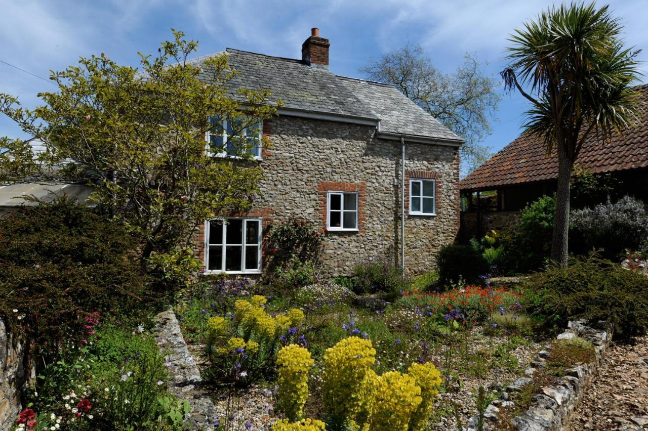Trill Cottage Musbury エクステリア 写真